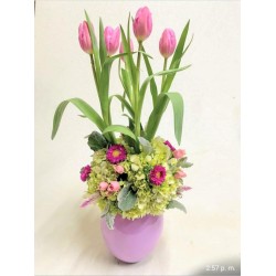 Sembrado chico de tulipanes rosas en cerámica | Florería Versalles CDMX